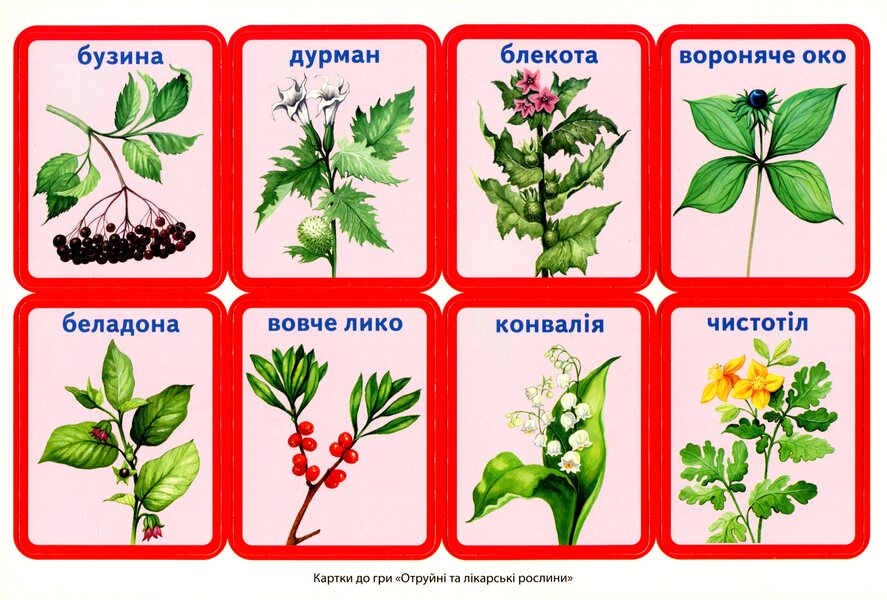 A complex of didactic games for students of grades 1-2. The world of plants / Комплекс дидактичних ігор для учнів 1-2 класів. Світ рослин  4823076143572-4