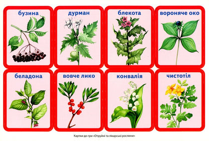 A complex of didactic games for students of grades 1-2. The world of plants / Комплекс дидактичних ігор для учнів 1-2 класів. Світ рослин  4823076143572-4