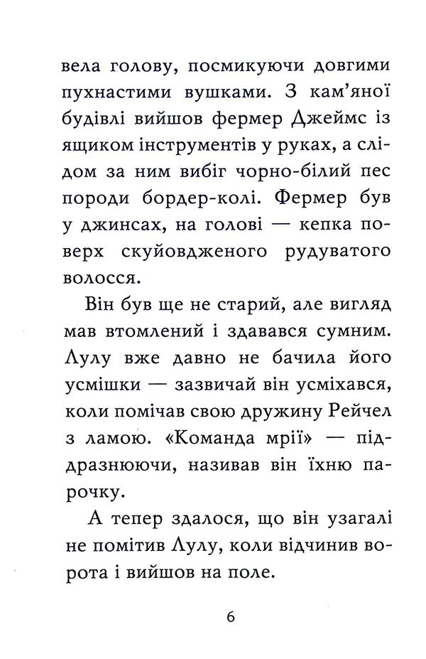 A lama is a bridesmaid / Лама — подружка нареченої Белла Свифт 978-966-917-802-2-4