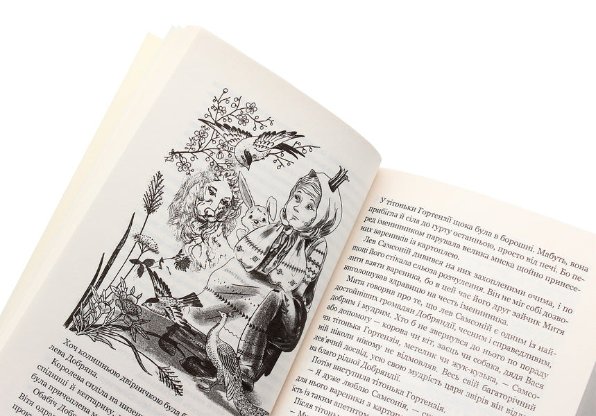 A magical talisman / Чарівний талісман Всеволод Нестайко 978-966-10-4239-0-6