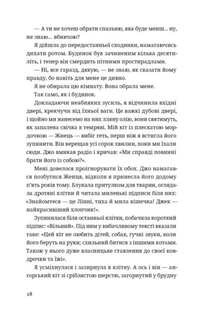 A stranger above / Незнайомець нагорі Лиза М. Матлин 978-966-448-417-3-6
