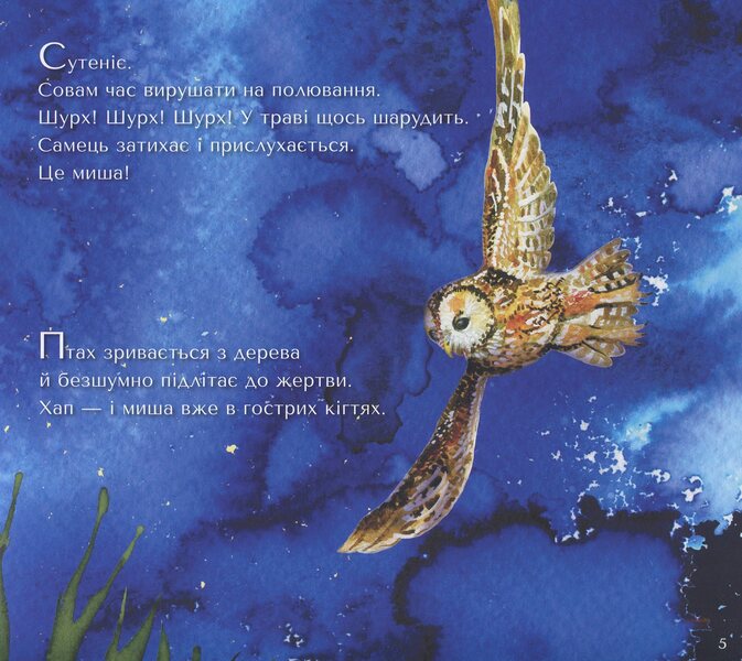 A surprise for owls / Сюрприз для сов Саша Кочубей 978-966-97912-2-1-6