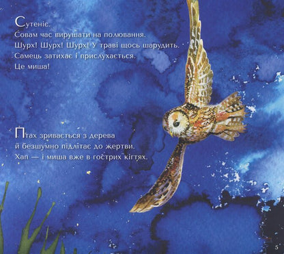 A surprise for owls / Сюрприз для сов Саша Кочубей 978-966-97912-2-1-6