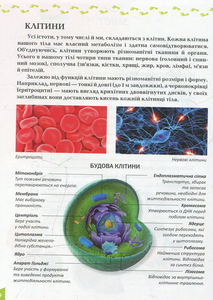 About the human body / Про тіло людини Татьяна Жабская 978-617-7292-56-1-4