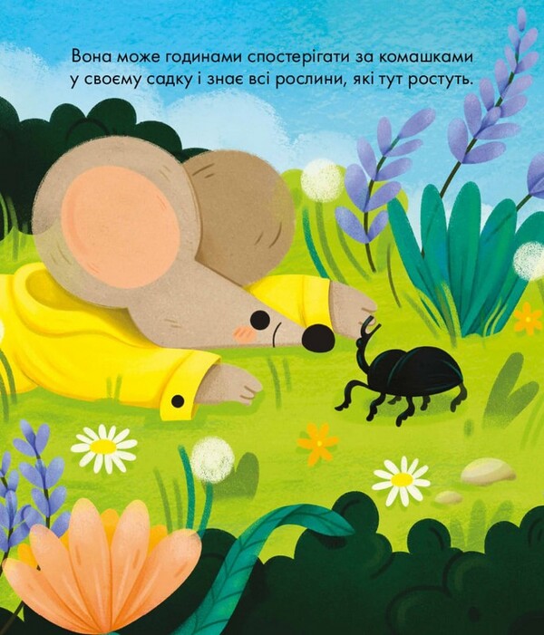 Adventures Of Cherries / Пригоди вишеньки Clemence Guilhemault / Клеменс Гіемо 9786178307790-4