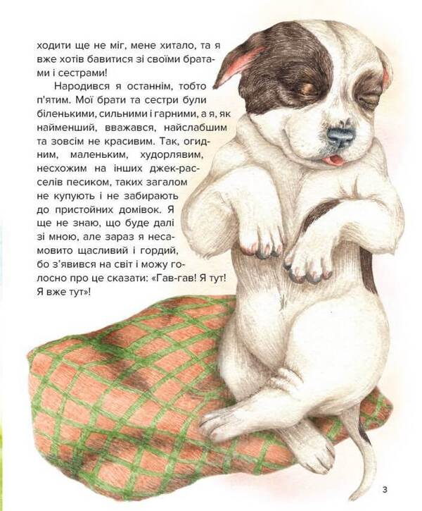 Adventures of Cooper / Пригоди Купера Ирина Константюк 978-966-279-216-4-3