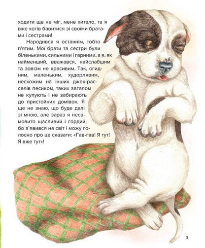 Adventures of Cooper / Пригоди Купера Ирина Константюк 978-966-279-216-4-3