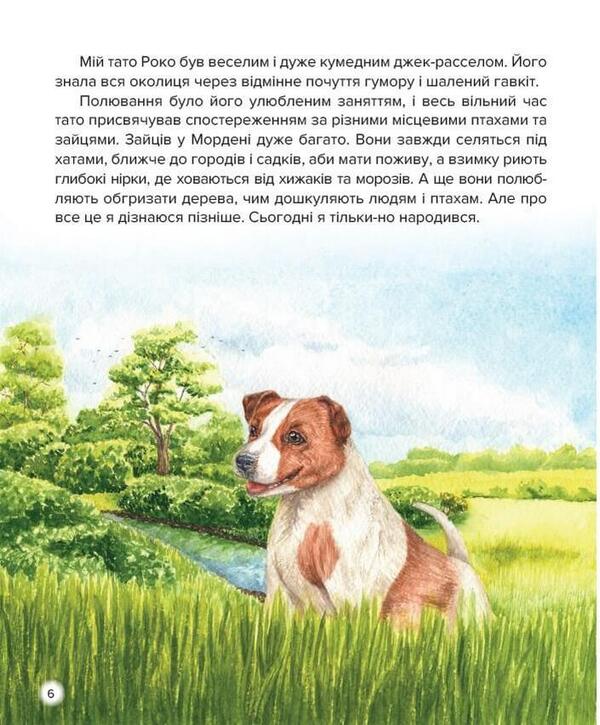 Adventures of Cooper / Пригоди Купера Ирина Константюк 978-966-279-216-4-5
