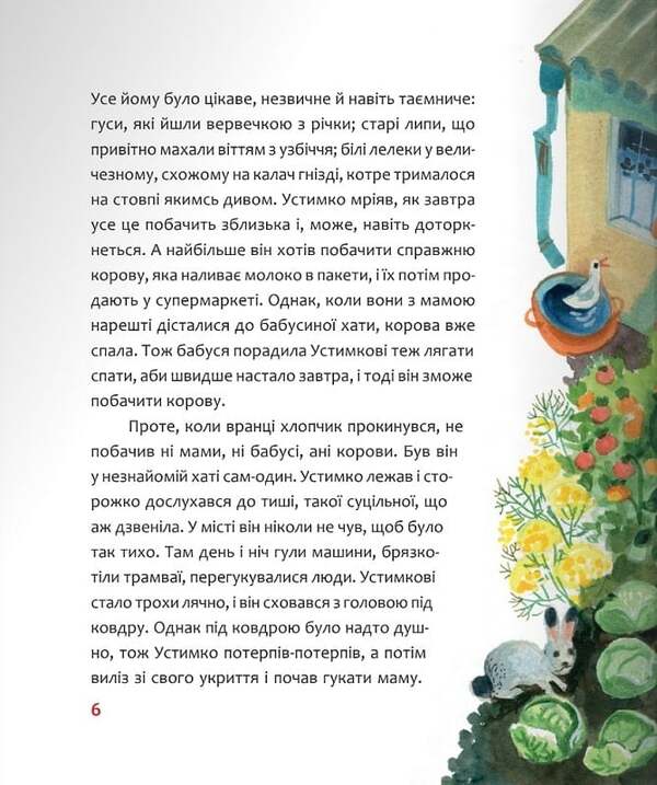 Adventures of Ustymko and his guardian angel / Пригоди Устимка та його ангела-охоронця Галина Манив 9789669387400-3