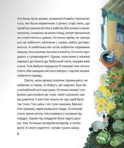 Adventures of Ustymko and his guardian angel / Пригоди Устимка та його ангела-охоронця Галина Манив 9789669387400-3