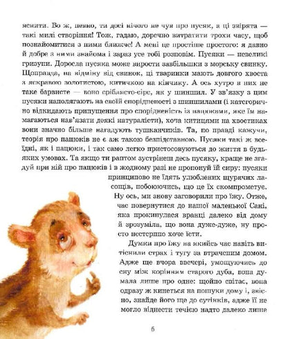 Adventures of little girl Sani / Пригоди пусяки Сані Аша Фредриксон, Ольга Кузнецова 9786178253325-3