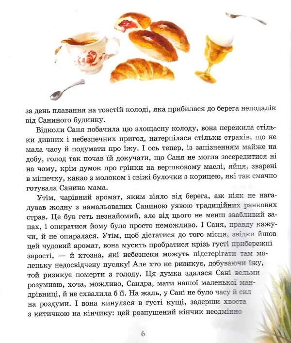 Adventures of little girl Sani / Пригоди пусяки Сані Аша Фредриксон, Ольга Кузнецова 9786178253325-4