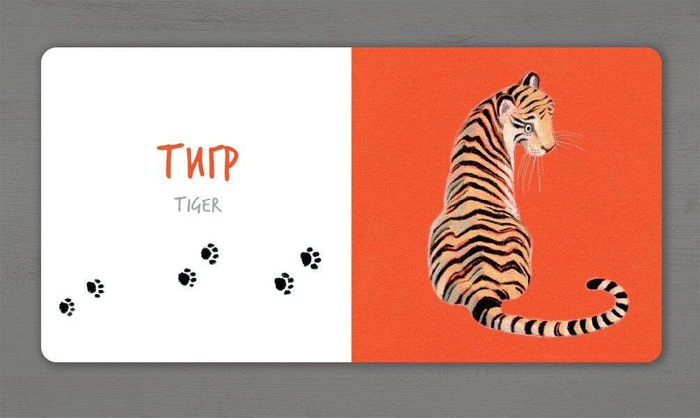African animals / Африканські тварини Екатерина Таберко 978-617-7395-31-6-4