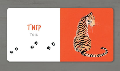 African animals / Африканські тварини Екатерина Таберко 978-617-7395-31-6-4