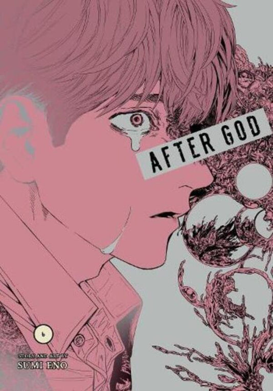 After God, Vol. 6 Sumi Eno - Суми Эно 9781974758302-1