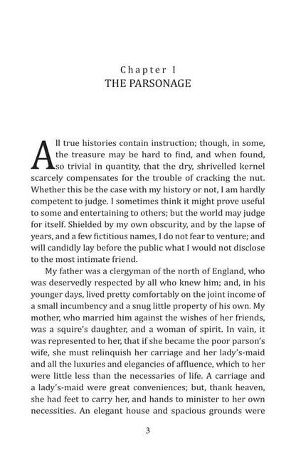 Agnes Grey / Agnes Grey Enn Bronte / Енн Бронте 9786178508210-4