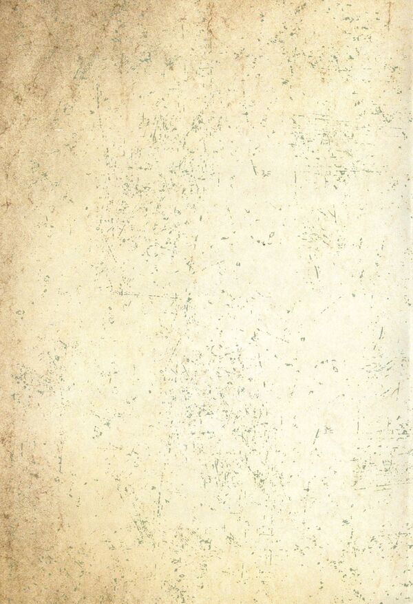 Agreement with Moscow against Hetman Pavel Skoropadskyi / Договір з Москвою проти гетьмана Павла Скоропадського Петр Солуха 978-611-01-1563-6-2