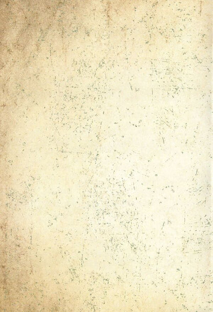 Agreement with Moscow against Hetman Pavel Skoropadskyi / Договір з Москвою проти гетьмана Павла Скоропадського Петр Солуха 978-611-01-1563-6-2