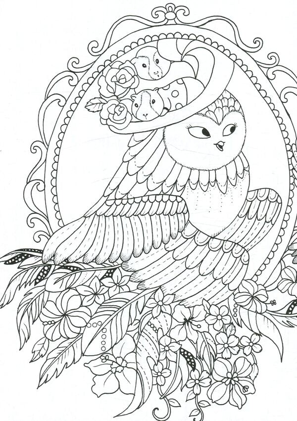 Almost a million owls / Майже мільйон сов Лулу Майо 978-617-757-900-6-3
