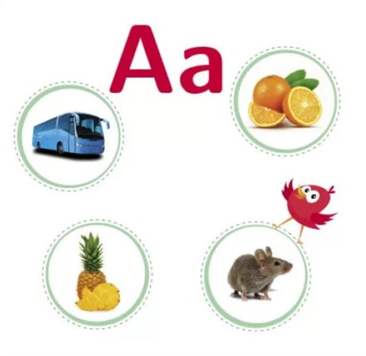 Alphabet / Абеточка Светлана Моисеенко 9789667512088-2