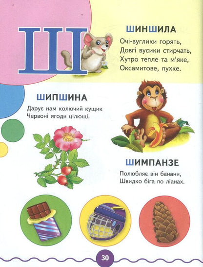 Alphabet + number / Абетка + лічба  978-617-7160-10-5, 978-617-7084-53-1-3