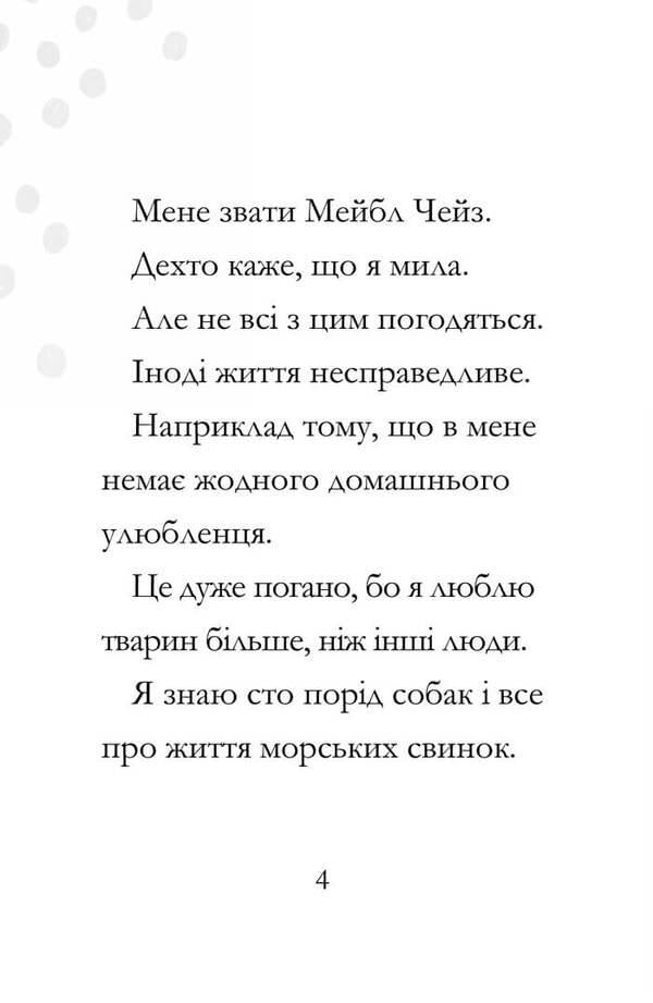 Amazing Mabel and the Rabbit Mayhem / Дивовижна Мейбл і кролячий погром Рут Куэйл 978-966-1545-97-6-3