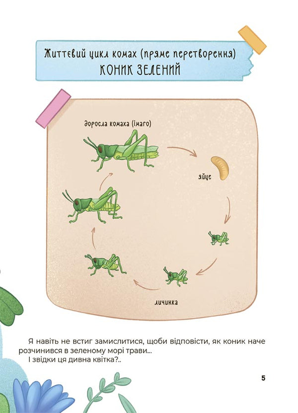 Amazing Transformations. Who Was Hiding In The Testicle / Дивовижні перетворення. Хто ховався у яєчку Yulia Pelikhova / Юлія Пеліхова 9786170042682-6