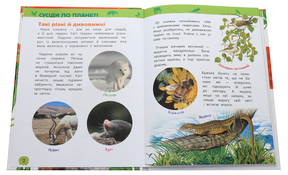 Amazing animals. My first encyclopedia / Дивовижні тварини. Моя перша енциклопедія  978-966-98500-4-1-4