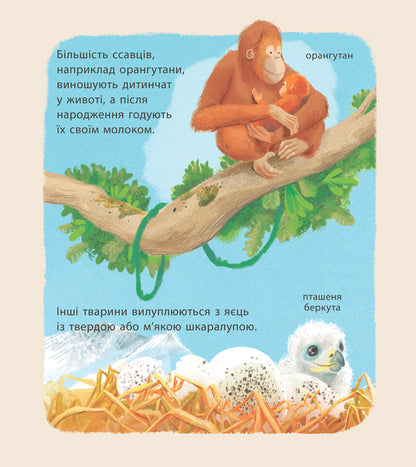 Amazing baby animals / Дивовижні дитинчата тварин Крис Пэкхэм 978-617-09-4287-6-4