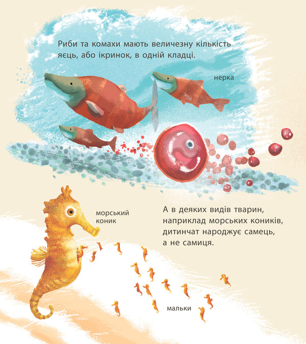 Amazing baby animals / Дивовижні дитинчата тварин Крис Пэкхэм 978-617-09-4287-6-5