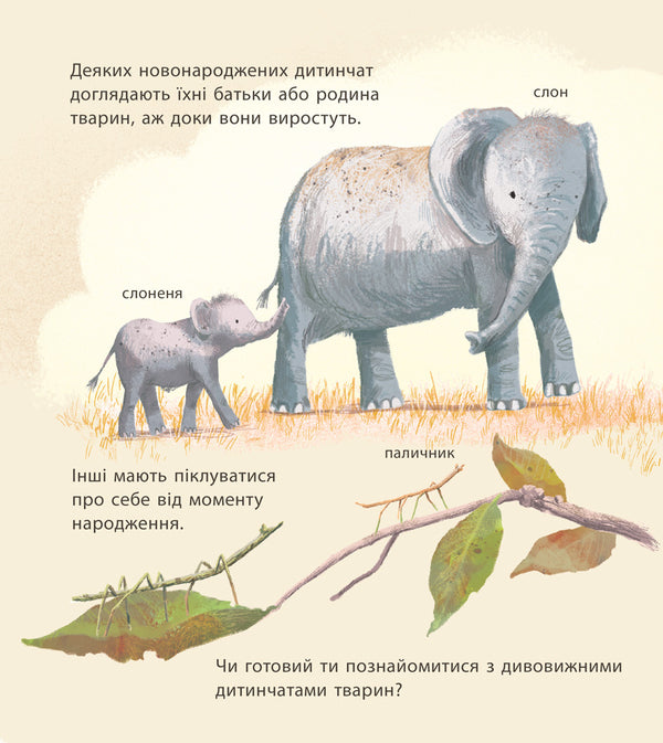 Amazing baby animals / Дивовижні дитинчата тварин Крис Пэкхэм 978-617-09-4287-6-6