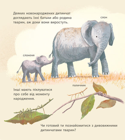 Amazing baby animals / Дивовижні дитинчата тварин Крис Пэкхэм 978-617-09-4287-6-6