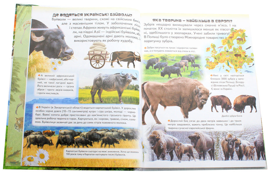 Amazing encyclopedia about animals in questions and answers / Дивовижна енциклопедія про тварин у запитаннях і відповідях Владимир Верховень 978-966-947-325-7-4