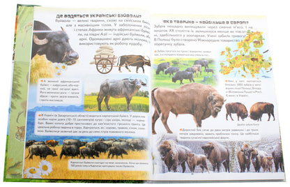 Amazing encyclopedia about animals in questions and answers / Дивовижна енциклопедія про тварин у запитаннях і відповідях Владимир Верховень 978-966-947-325-7-4