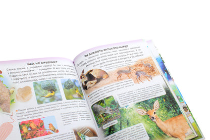 Amazing encyclopedia about animals in questions and answers / Дивовижна енциклопедія про тварин у запитаннях і відповідях Владимир Верховень 978-966-947-325-7-6