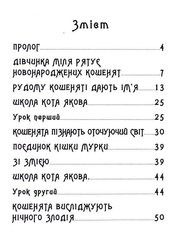 Amazing story of a friendly cat family / Дивовижна історія дружньої котячої сімейки Вадим Шкода 978-617-8169-10-7-3