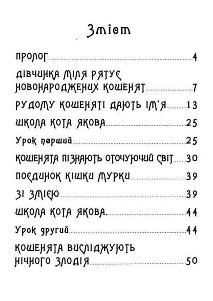 Amazing story of a friendly cat family / Дивовижна історія дружньої котячої сімейки Вадим Шкода 978-617-8169-10-7-3