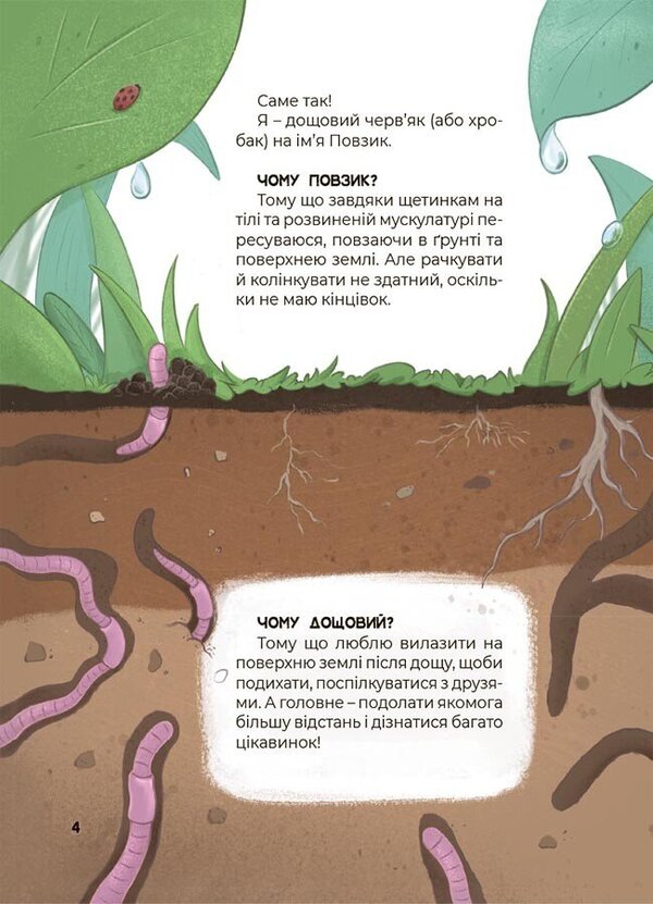 Amazing transformations. How do plants work? / Дивовижні перетворення. Ким працюють рослини Юлия Пелихова 9786170042415-6