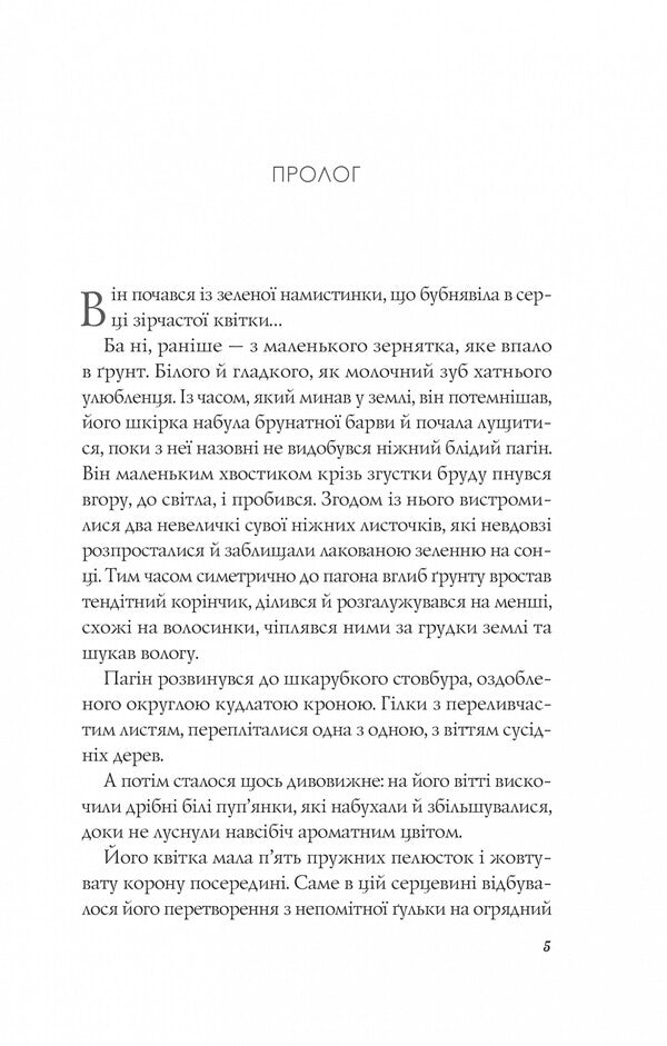 An Orange In A Puddle / Апельсин у калюжі Lyudmila Baran / Людмила Баран 9786171704909-3