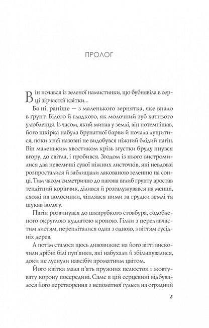 An Orange In A Puddle / Апельсин у калюжі Lyudmila Baran / Людмила Баран 9786171704909-3