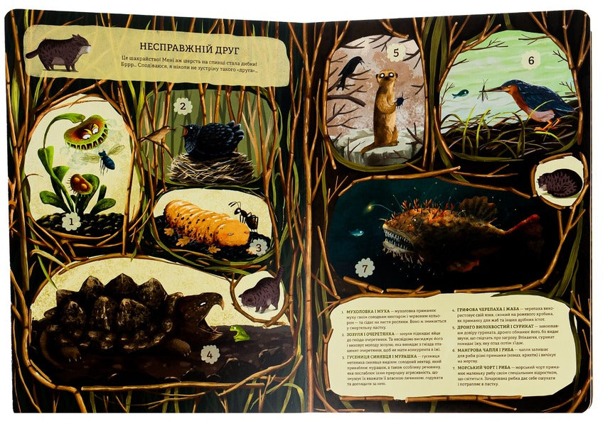 An Unusual Friendship In The World Of Plants And Animals - Незвичайна дружба у свт рослин  тварин Emilia Dzyubak - Емля Дзюбак 9786176798668-6