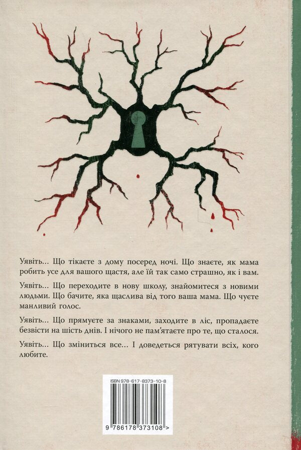 An imaginary friend / Уявний друг Стивен Чбоски 978-617-8373-10-8-2