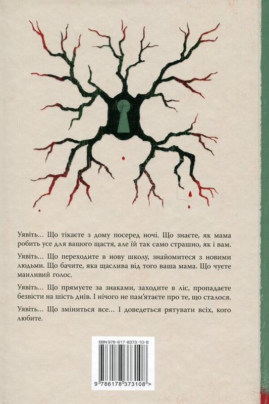An imaginary friend / Уявний друг Стивен Чбоски 978-617-8373-10-8-2