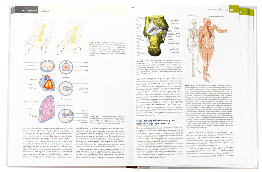 Anatomical trains. Myofascial meridians for manual therapists and traffic recovery professionals / Анатомічні поїзди. Міофасціальні меридіани для мануальних терапевтів і фахівців із відновлення руху Томас В. Маерс 978-617-505-972-2-6