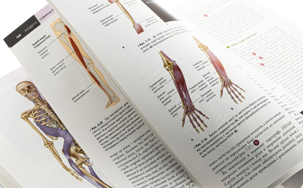 Anatomical trains. Myofascial meridians for manual therapists and traffic recovery professionals / Анатомічні поїзди. Міофасціальні меридіани для мануальних терапевтів і фахівців із відновлення руху Томас В. Маерс 978-617-505-972-2-4