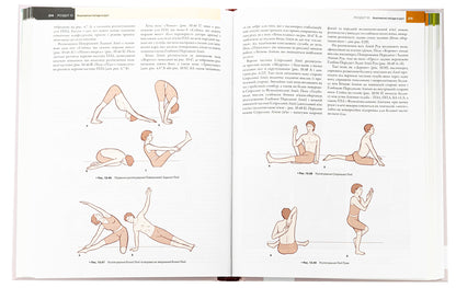 Anatomical trains. Myofascial meridians for manual therapists and traffic recovery professionals / Анатомічні поїзди. Міофасціальні меридіани для мануальних терапевтів і фахівців із відновлення руху Томас В. Маерс 978-617-505-972-2-5