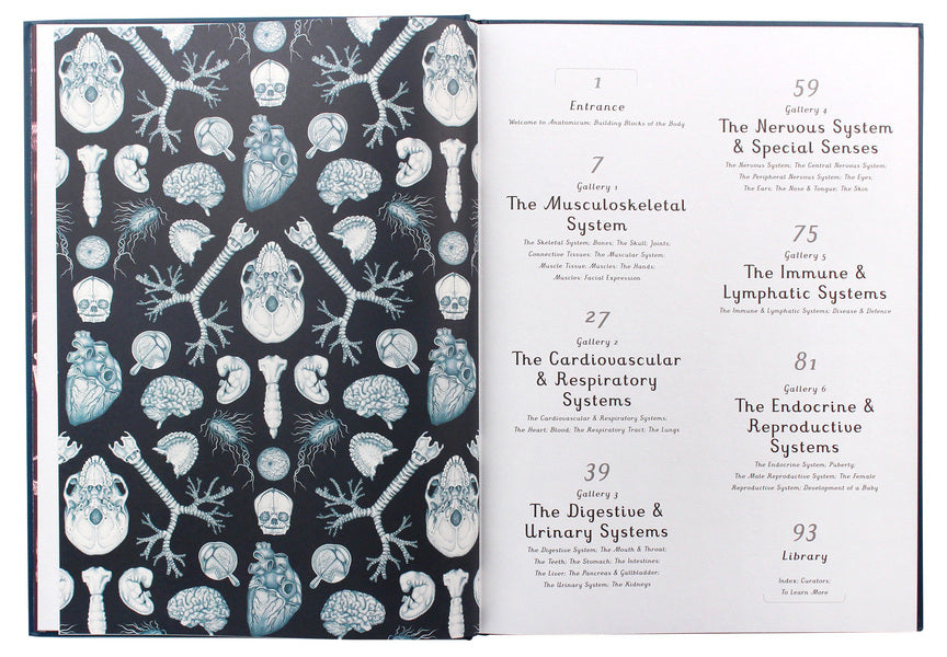 Anatomicum / Anatomicum Дженнифер Пакстон 9781787414921-4