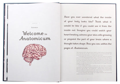 Anatomicum / Anatomicum Дженнифер Пакстон 9781787414921-5