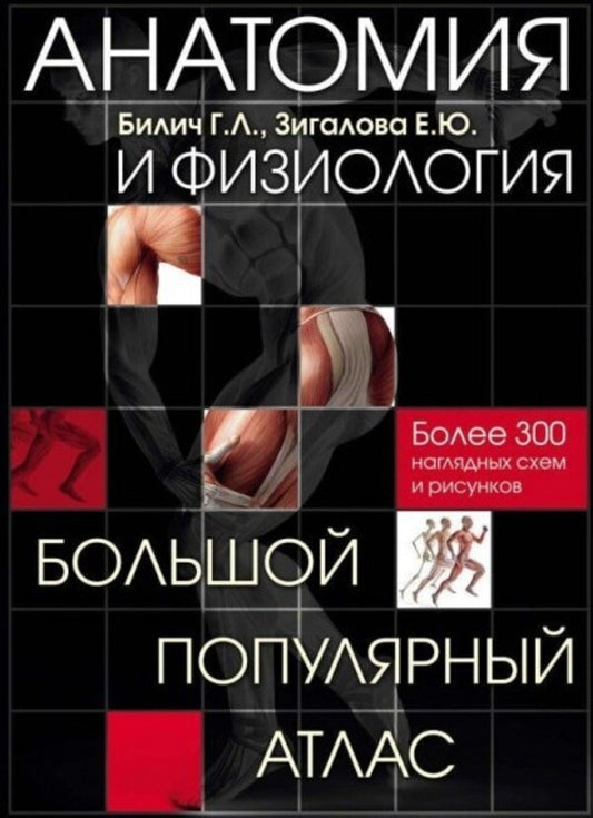 Anatomy And Physiology. Large Popular Atlas / Анатомия и физиология. Большой популярный атлас Gabriel Bilich / Габриэль Билич Does not apply-1