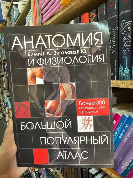 Anatomy And Physiology. Large Popular Atlas / Анатомия и физиология. Большой популярный атлас Gabriel Bilich / Габриэль Билич Does not apply-2